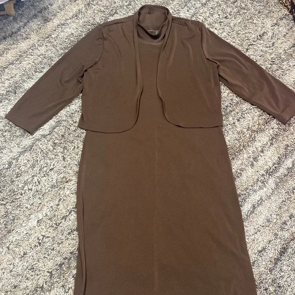 chicos brown dress Chicos 1 Knit Sheath Dress Womens Medium Brown Red Gold Animal Print Paisley